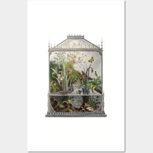 Beautiful Retro Butterfly Terrarium Posters and Art